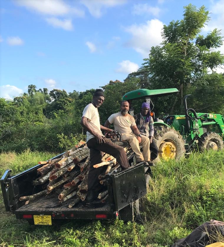 Farm staff
