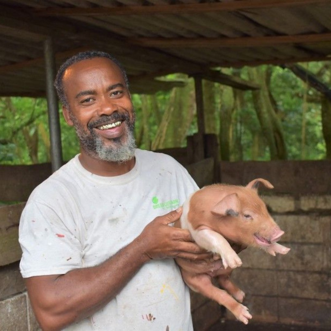 Huey with a pig on the Farm