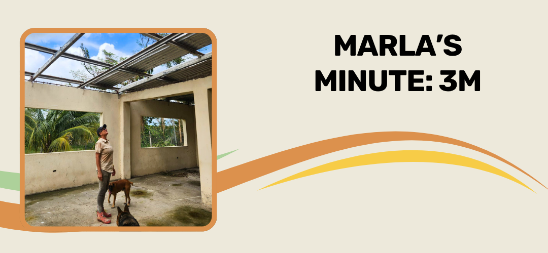 Marla’s Minute: 3M