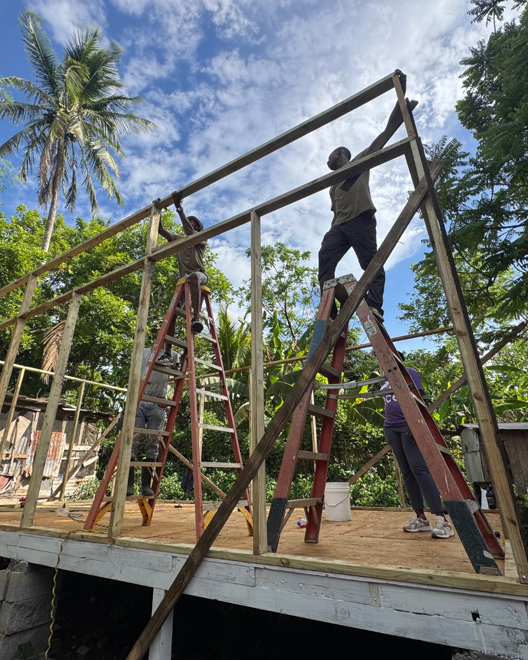 Baggo Family Home Update!