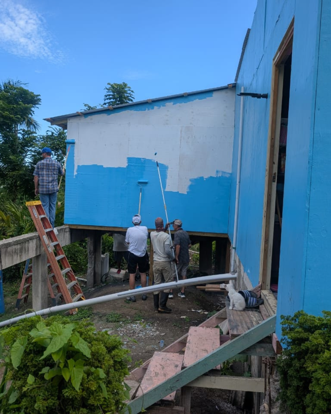 Painting the new kitchen for the Rhoden and Small Family Home