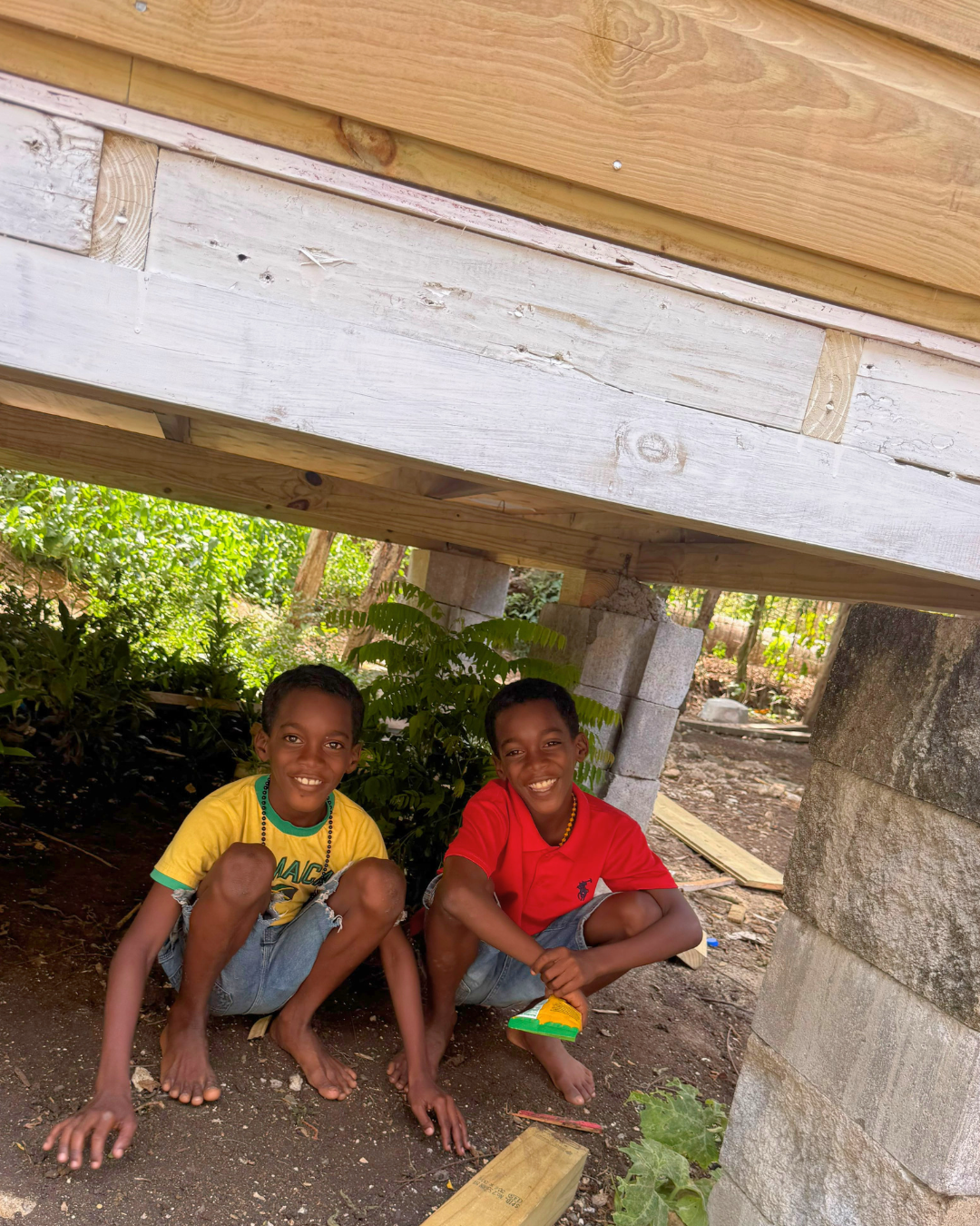 Baggo Twins Hanging Out Under their New Home