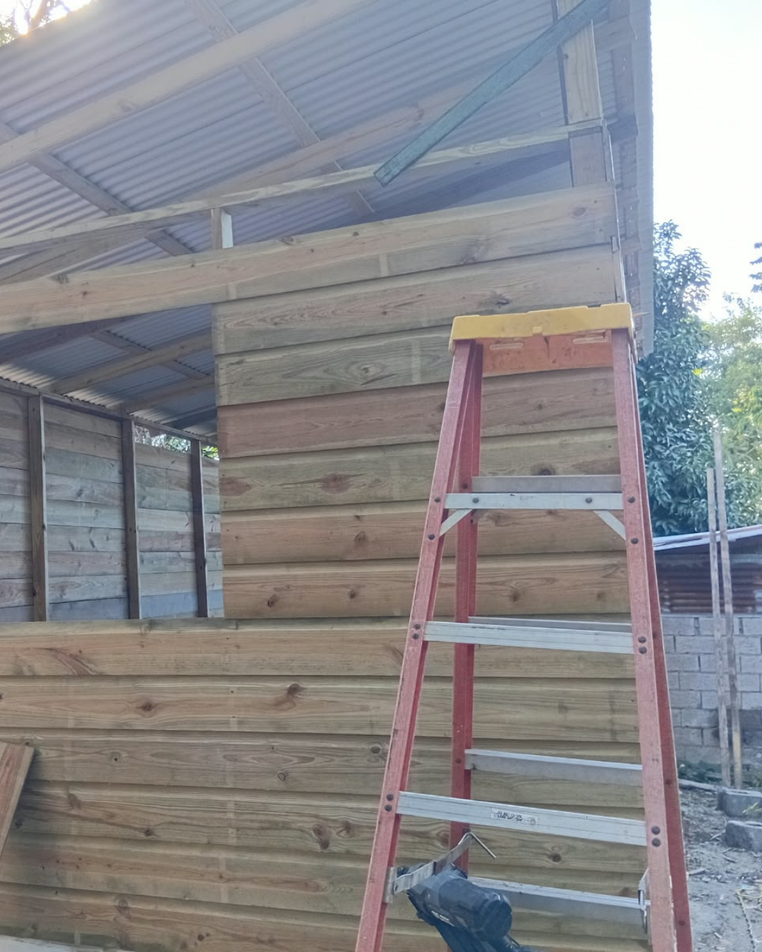 Baggo Family Home Update!